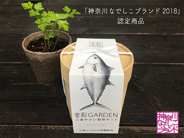 食彩garden三浦やさい栽培キット イタリアンパセリ 三浦半島 食彩ネットワーク